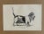 Up for sale is this charming antique dog print from a veterinary guide published in the 1890s and illustrating breed...