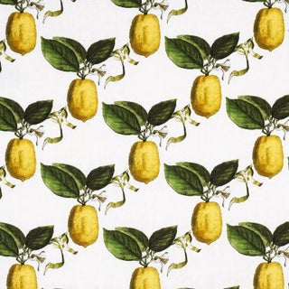 Sample - Schumacher x Johnson Hartig Le Citron Fabric in Ivory For Sale