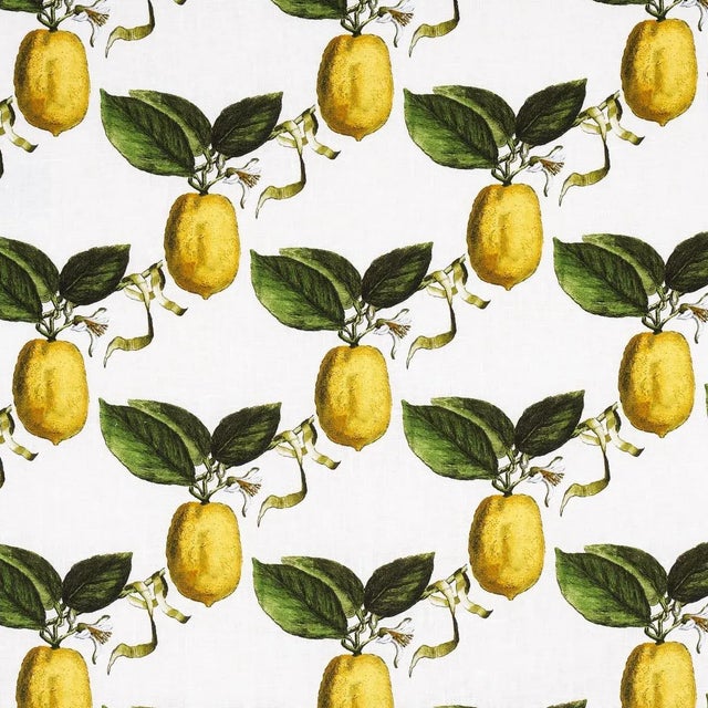 Sample - Schumacher x Johnson Hartig Le Citron Fabric in Ivory For Sale