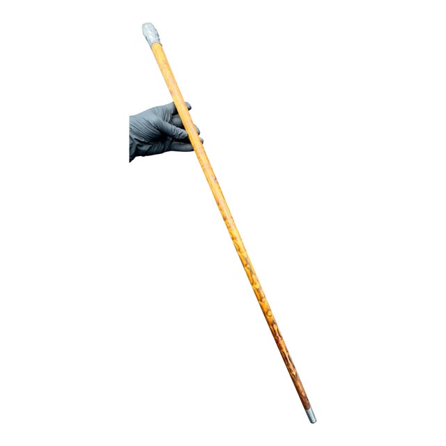 Antique Victorian Silver Mounted Walking Stick For Sale