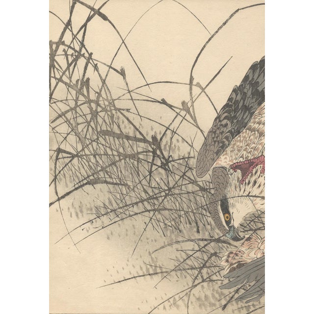 Late 19th Century Imao Keinen, Eurasian Goshawk, 1892, Print For Sale - Image 5 of 18