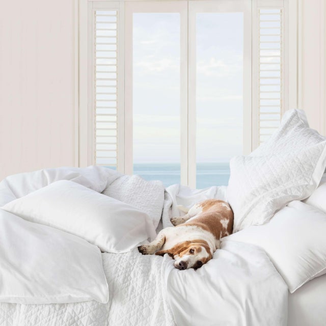 Pine Cone Hill Pine Cone Hill by Annie Selke Washed Linen White Quilt, Twin For Sale - Image 4 of 5