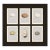 Collection of Six Antique British Bird Egg Prints, Large Speckles, Attributed to Rev. F. O. Morris For Sale
