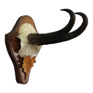 Large Chamois Trophy on Turned Plaque, Austria 1950s For Sale