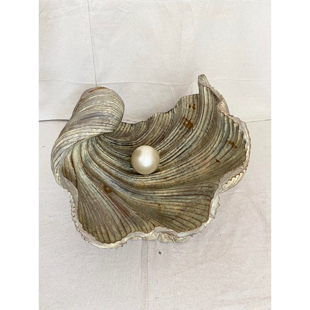 Vintage Carved Wood Clam Shell and Pearl Coffee Table ...