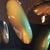 Modern Wall Object by Artist Willi Siber For Sale - Image 3 of 4
