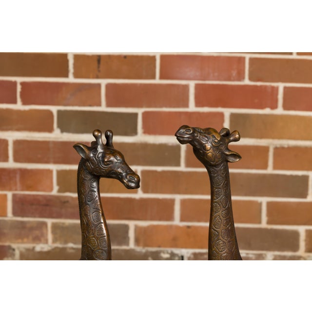 Pair of Small Bronze Midcentury Giraffe Sculptures, American Art For Sale - Image 12 of 12