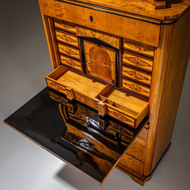 Brown Biedermeier Secretary in Birch, Germany, 1830 For Sale - Image 8 of 10