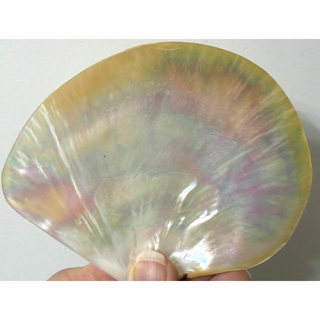 White Vintage Mother of Pearl Caviar Dishes and Spoons For Sale - Image 8 of 16