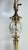 Vintage Brass & Crystal Table Lamp Neoclassical Hollywood Regency 29" Tall For Sale - Image 11 of 12