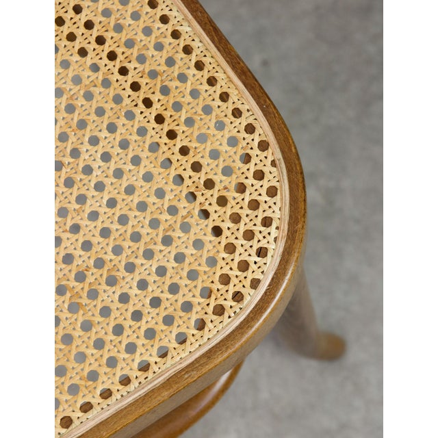 No. 811 Bentwood Chairs attributed to Michael Thonet, Set of 2 For Sale - Image 18 of 18