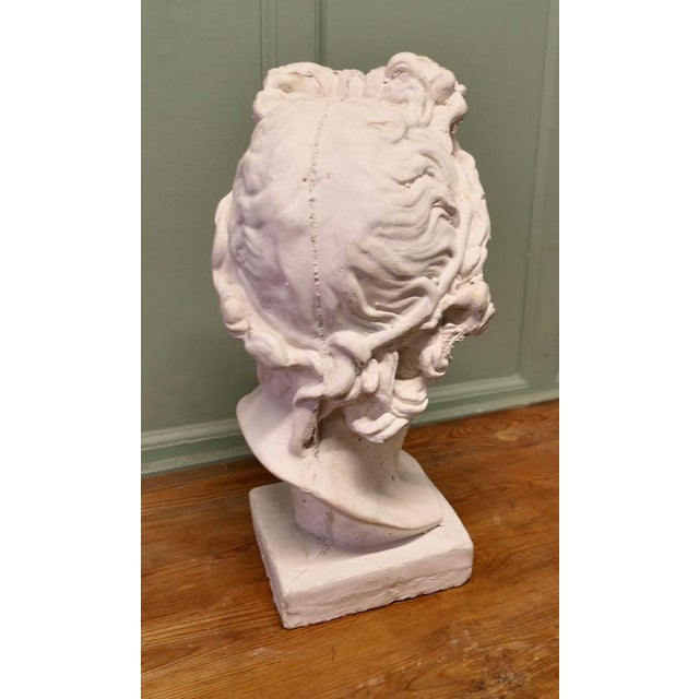 1950s Large Heavy Bust of Apollo For Sale - Image 5 of 8