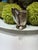 Art Deco International Silver Fred Harvey Sterling Creamer For Sale - Image 3 of 6