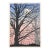 1992 Wanda Bowman Enchanted Twilight Serigraph For Sale