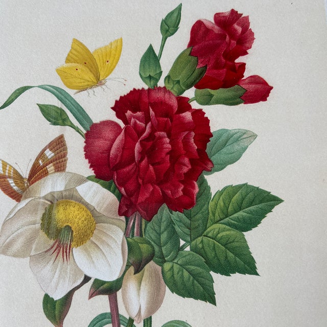 Antique lithograph of flowers and butterfly by Pierre Joseph Redoute in beautiful gold frame and lovely matte.