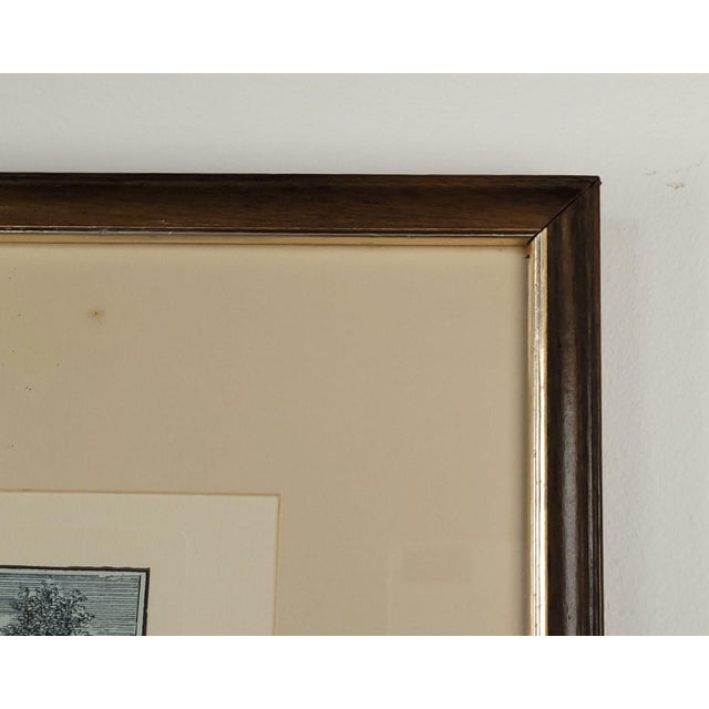 19th Century Hand Colored Italian Engraving, "La Giostra" For Sale In San Francisco - Image 6 of 6