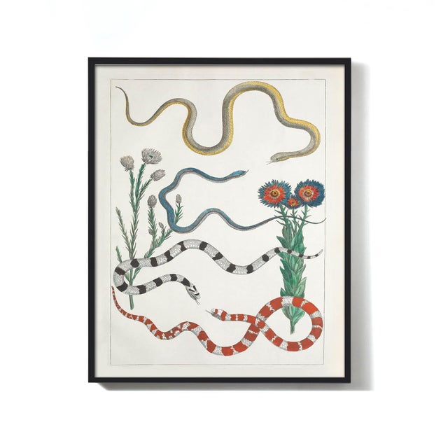 Not Yet Made - Made To Order Colorful Southwest Snakes and Botanical Giclée For Sale - Image 5 of 7