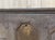Antique Chest in Oak and Fir, 1600s For Sale - Image 14 of 18