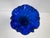 Vintage Mary Gregory Style Cobalt Blue Glass Vase With Ruffled Rim For Sale - Image 12 of 12