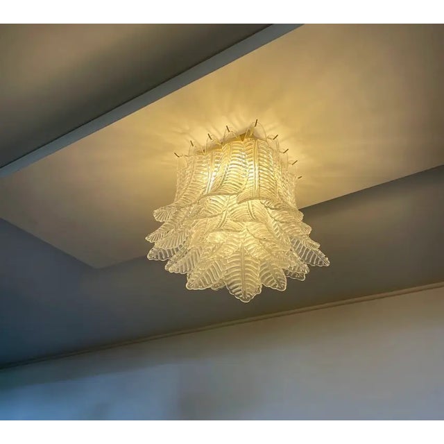 2020s Murano Ceiling Lamp, 32 Transparent Felci Glasses in Brass Structure For Sale - Image 5 of 8
