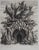 François Houtin, 12th Nymph, Engraving For Sale - Image 6 of 6