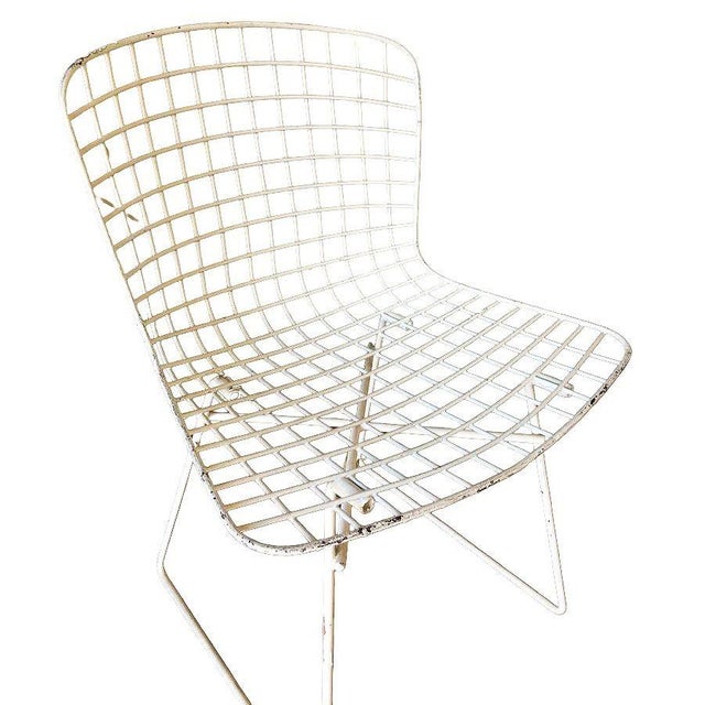 White Bertoia Steel Wire Side Chair by Knoll, Pair For Sale - Image 11 of 11