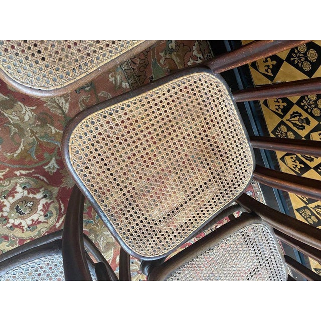 Chairs in Caning from Thonet, Set of 5 For Sale - Image 4 of 11