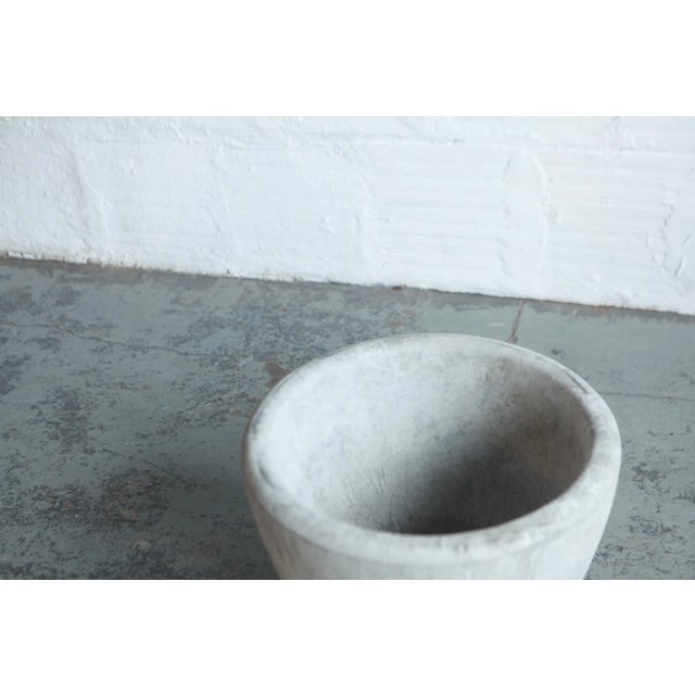 Baby Bear concrete planter.