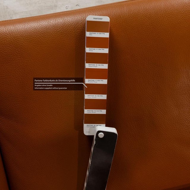 Animal Skin Cl 740 Leather 2-Seater Sofa from Erpo For Sale - Image 7 of 12