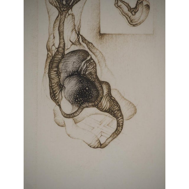 Fred Deux, Double Natural Abstraction, Original Engraving For Sale - Image 5 of 6