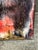 Adam Fish "A Life on Canvas" Oil Painting For Sale In San Francisco - Image 6 of 12