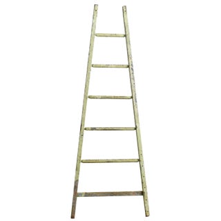Vintage French Painted Ladder, 1950s For Sale