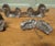 Chicken, Dog, Cat and Toque Blanche Chocolate Molds, 1910, Set of 4 For Sale - Image 3 of 8