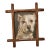 Portrait Oil Painting of a Pit Bull Dog For Sale