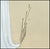 Art Deco Early 20th Century Un Doigt de Couer Chanteuse, Erté For Sale - Image 3 of 6
