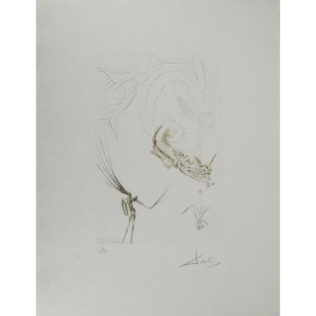 Salvador Dali, Tristan and the Dragon, Engraving For Sale - Image 7 of 7