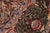 1990s Art Nouveau 1990's Pak-Persian Brown/Gray Wool Round Rug - 8'3'' X 8'3'' For Sale - Image 5 of 8
