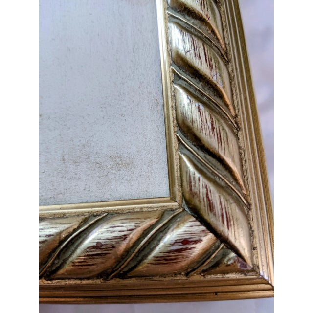 Late 20th Century Hand-Colored Engravings of Monkeys After G. Buffon, Framed - Set of 4 For Sale - Image 12 of 13