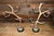 Vintage Pair of Real Antler Candle Holders For Sale In Los Angeles - Image 6 of 12