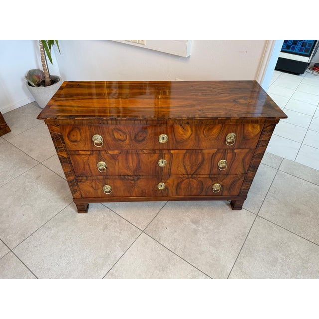 Biedermeier Chest of Drawers in Walnut For Sale - Image 12 of 14