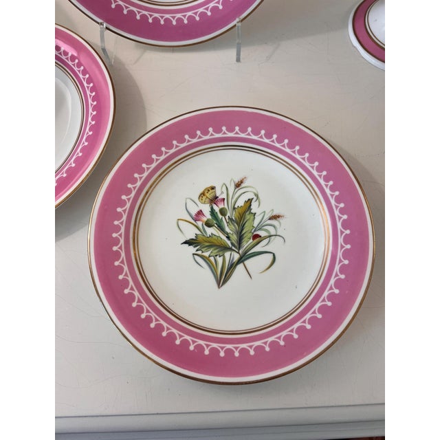 Antique French Pink Old Paris Porcelain hand-painted dessert set with 12 plates and 5 assorted tazzas, porcelain with gilt accents - 17 pcs For Sale - Image 17 of 18