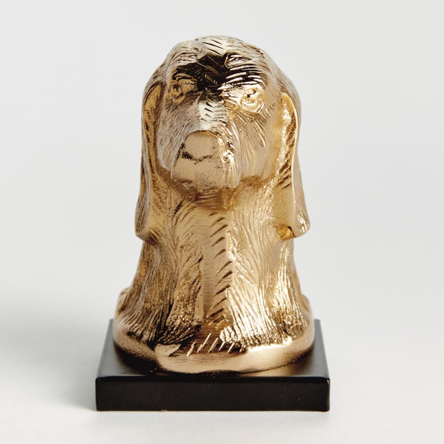 Kenneth Ludwig Chicago Distinguished Dog Bust Sculpture For Sale - Image 4 of 5