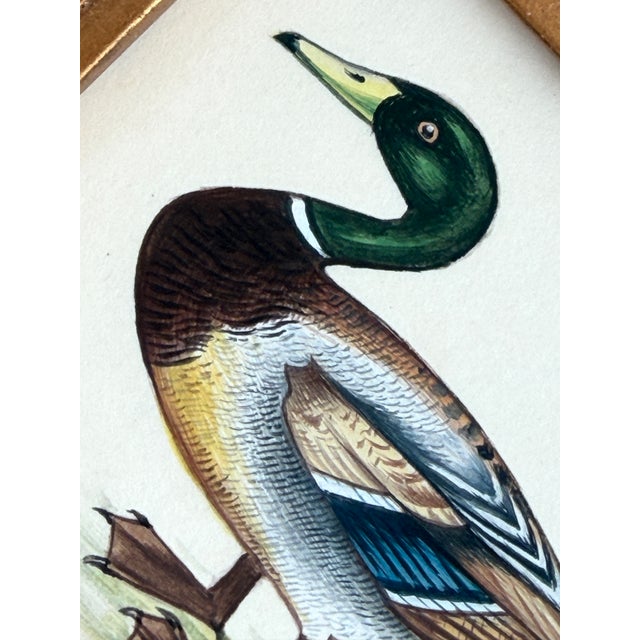 Hand-painted by master artists using acrylic paints and natural pigments, this charming mallard is brought to life through...
