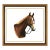 Groomed Stallion, Jocelyn Sandor For Sale
