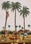 An original Indian Company School gouache painting c.1850 – Toddy Drawing.A fantastically vivid Indian gouache painting on...