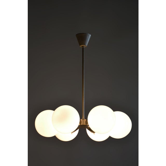Silver Mid-Century Chandelier in Chrome and Glass by Kamenický Šenov, Czech, 1960s For Sale - Image 8 of 10