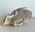 Vintage Greco Roman Patinated Resin Head Sculpture For Sale - Image 10 of 16