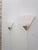 Large Model 3671 Wall Lights by Glashütte Limburg, 1970s, Set of 2 For Sale - Image 13 of 13