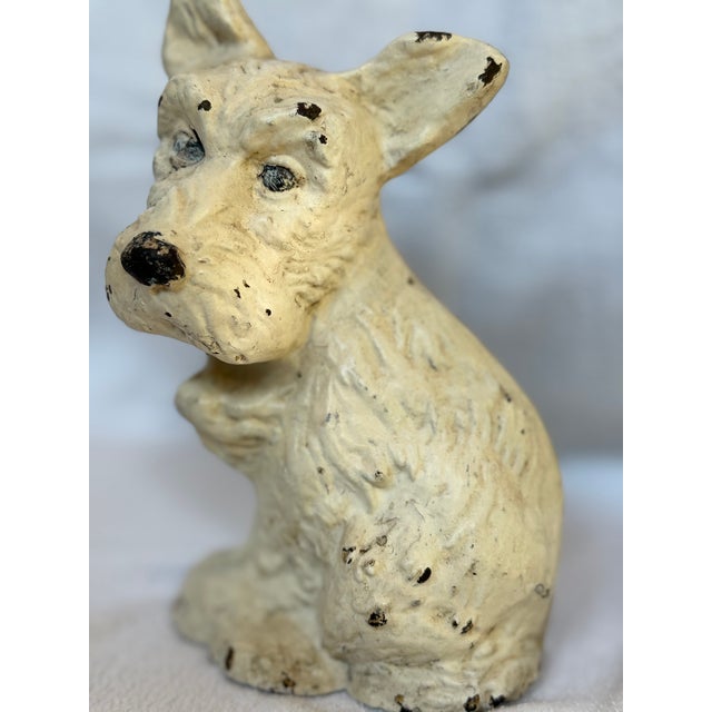 Love his blue eyes and adorable little black nose. He is the perfect door stop.