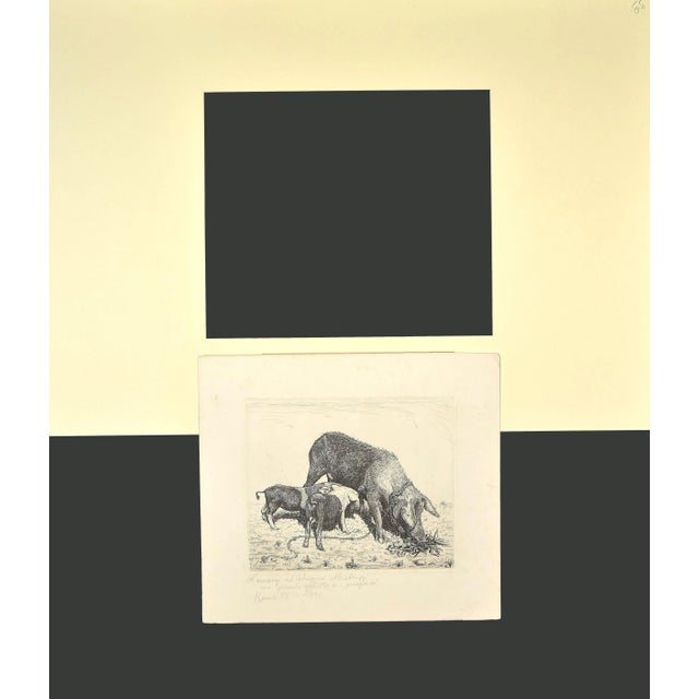 The Sow and Her Calves Etching, 1931 For Sale - Image 3 of 4